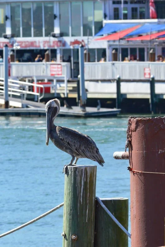 st johns county waterway scenery
